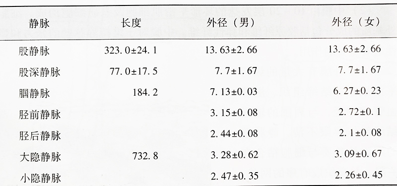 沈阳五一静脉曲张专科医院的下肢静脉血管长度与外径见表